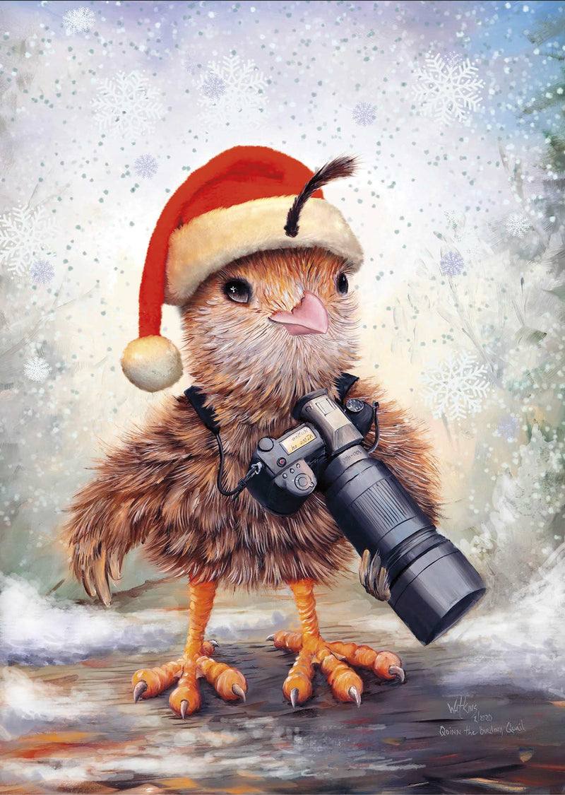 Birds Birding Christmas set, Christmas Greeting Cards – Cardstock – Chuck Watkins – Southwest Wall Art Print by Chuck Watkins