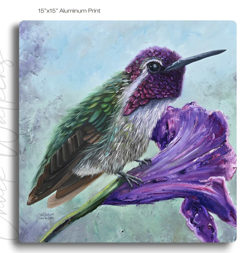 Calvin the Costa's, Hummingbird Wall Art Print by Chuck Watkins