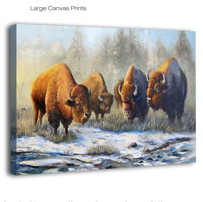 March Morning, Bison Wall Art Print by Chuck Watkins