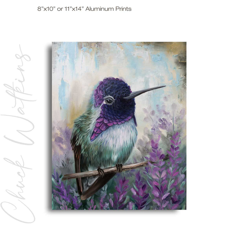 Rocco's Rose, Hummingbird Wall Art Print by Chuck Watkins