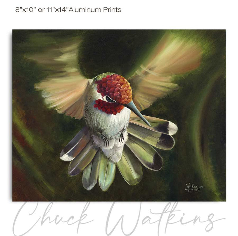 Angel in Flight, Hummingbird Wall Art Print by Chuck Watkins