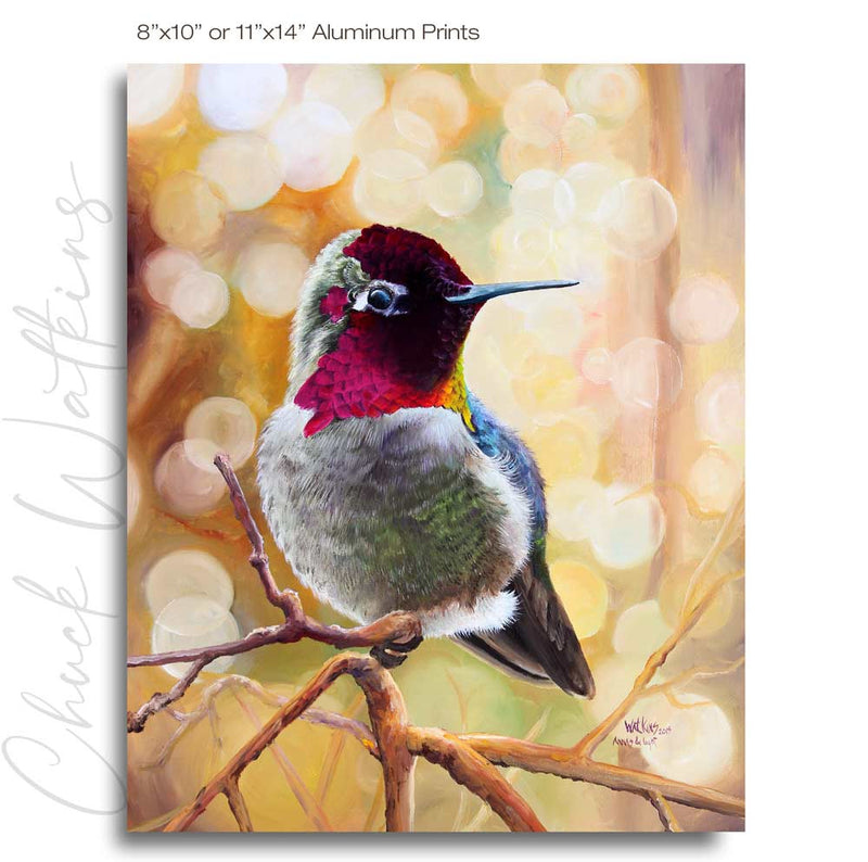 Anna's and Light, Hummingbird Wall Art Print by Chuck Watkins