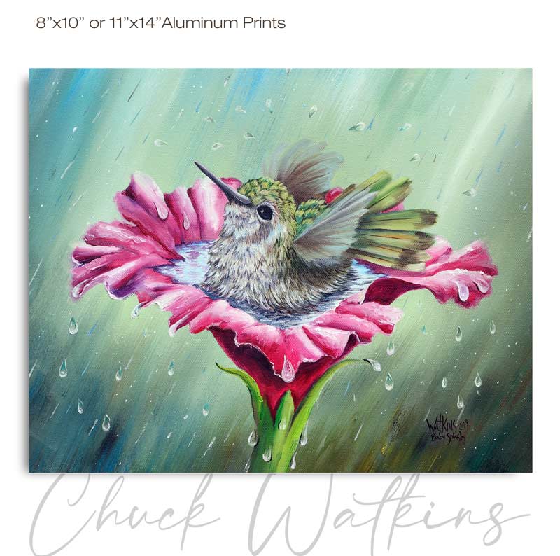 Baby Splash, Hummingbird Wall Art Print by Chuck Watkins