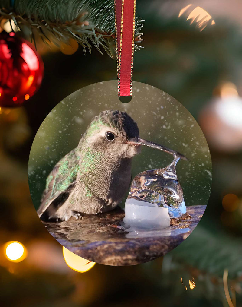 Broad-billed Girl in the Fountain, Hummingbird Christmas Ornament – Aluminum – Meagan Watkins by Chuck Watkins
