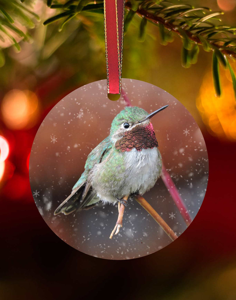 Broad-tailed 2, Hummingbird Christmas Ornament – Aluminum – Meagan Watkins by Chuck Watkins