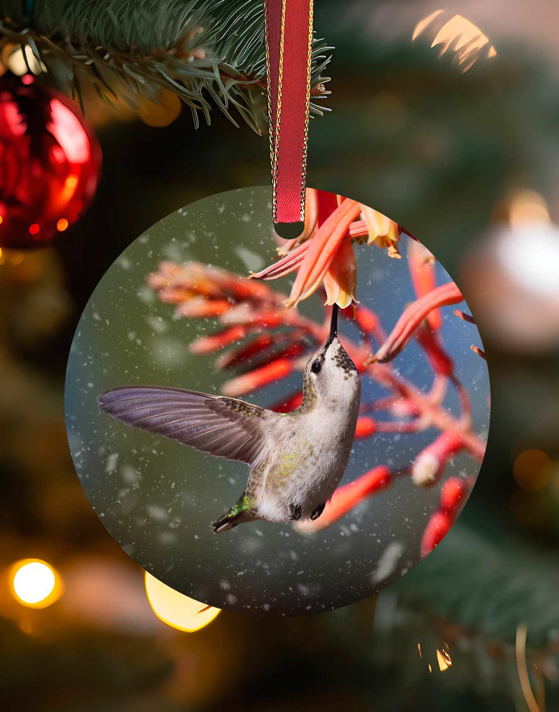 Female Costa's on Aloe, Hummingbird Christmas Ornament – Aluminum – Meagan Watkins by Chuck Watkins