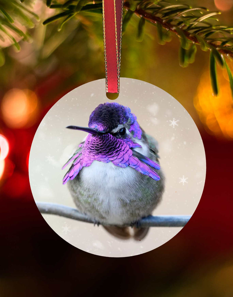 Costa's 3, Hummingbird Christmas Ornament – Aluminum – Meagan Watkins by Chuck Watkins