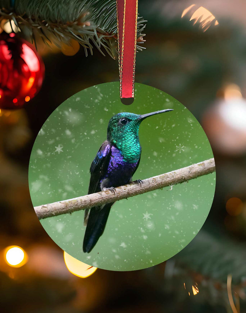 Green-Crowned Woodnymph from Costa Rica 2, Hummingbird Christmas Ornament – Aluminum – Meagan Watkins by Chuck Watkins