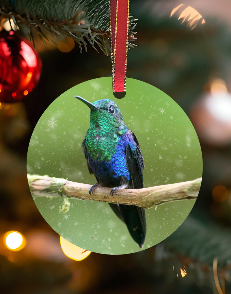 Green-Crowned Woodnymph from Costa Rica, Hummingbird Christmas Ornament – Aluminum – Meagan Watkins by Chuck Watkins