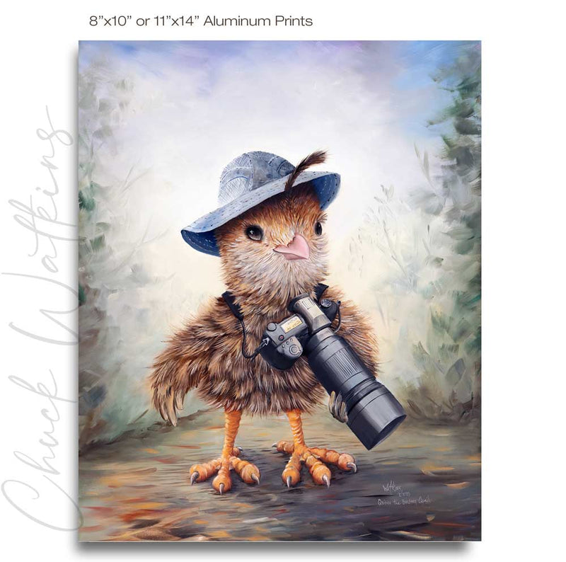 Quinn the Baby Quail, Funny Hiking photographer Wall Art Print by Chuck Watkins