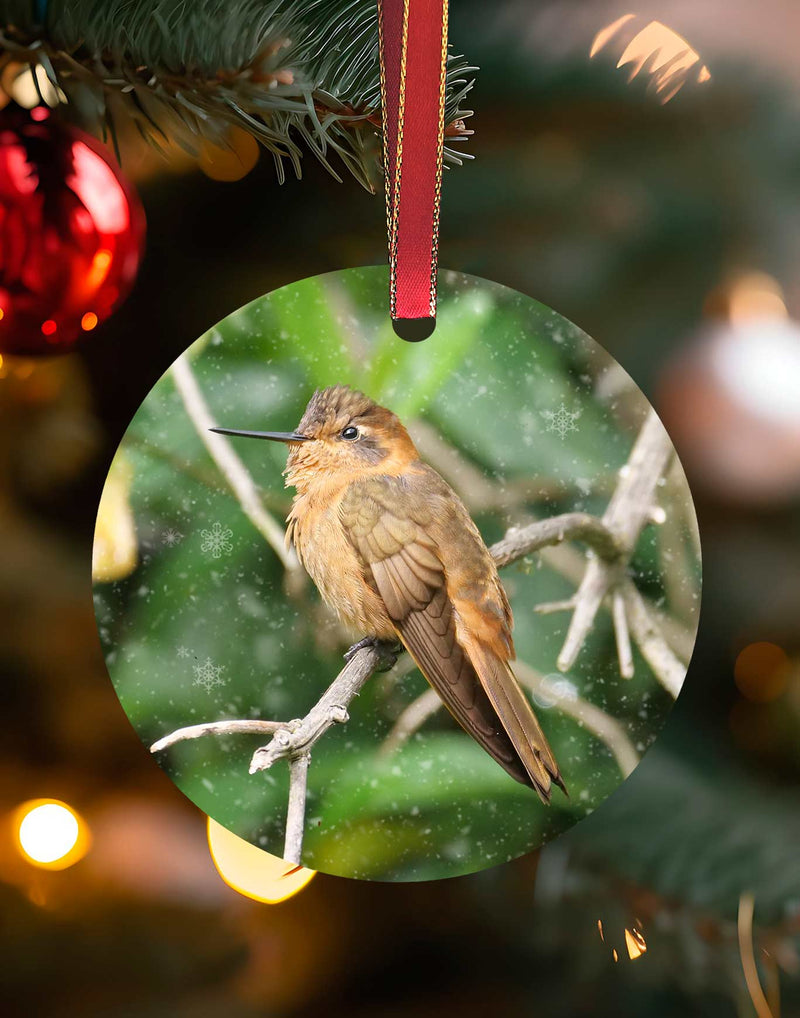 Shining Sunbeam from Equador, Hummingbird Christmas Ornament – Aluminum – Meagan Watkins by Chuck Watkins