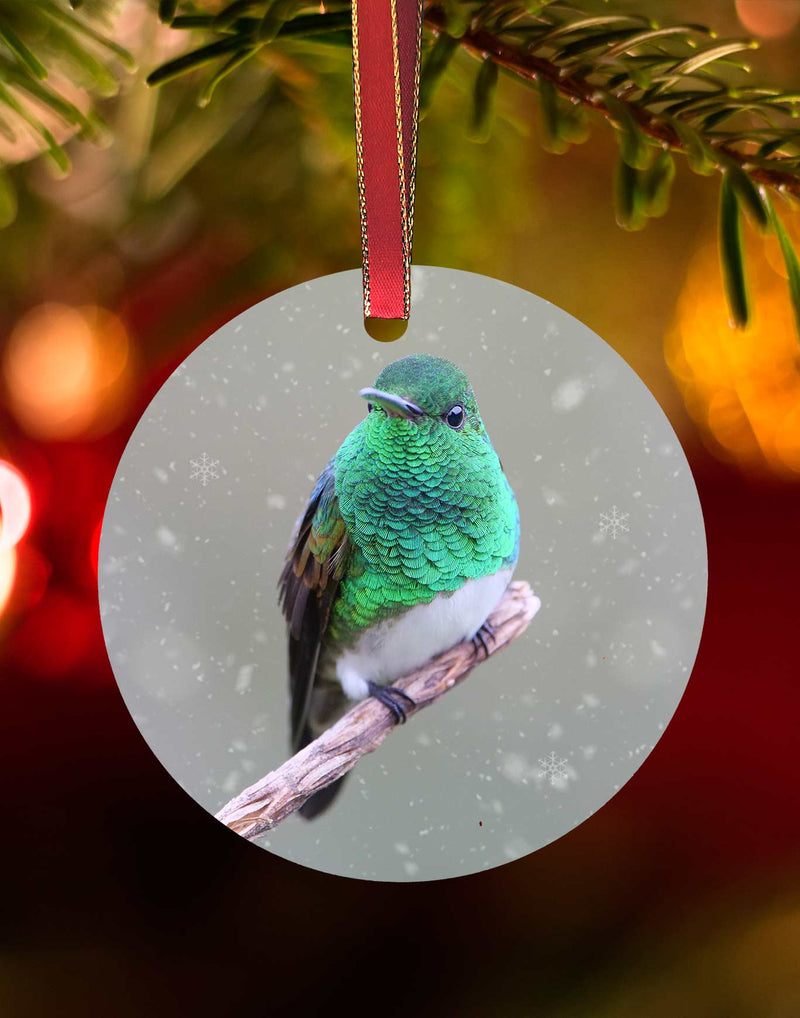 Snow-bellied, Hummingbird Christmas Ornament – Aluminum – Meagan Watkins by Chuck Watkins