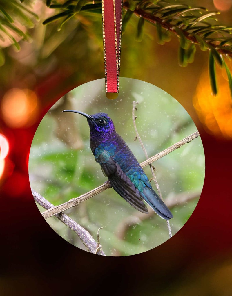 Violet Sabrewing, Hummingbird Christmas Ornament – Aluminum – Meagan Watkins by Chuck Watkins