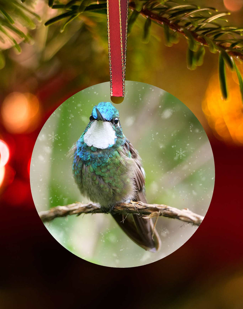 White-throated Mountain Gem from Costa Rica, Hummingbird Christmas Ornament – Aluminum – Meagan Watkins by Chuck Watkins