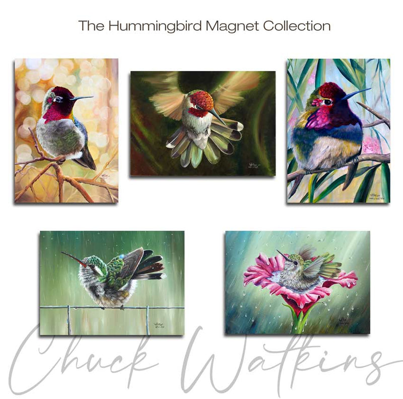 Hummingbird Magnet Collection - Aluminum Magnet Collection, (5 pack), 4.5"x5" by Chuck Watkins