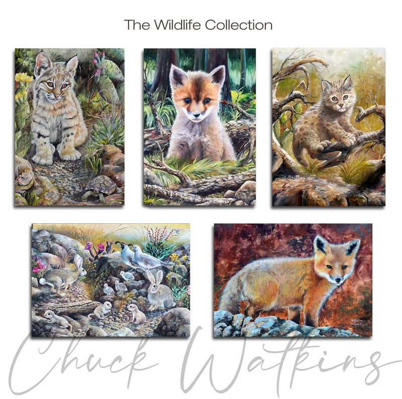 Wildlife Magnet - Arizona Wildlife Aluminum Magnet Collection, (5 pack), 4.5"x5" by Chuck Watkins
