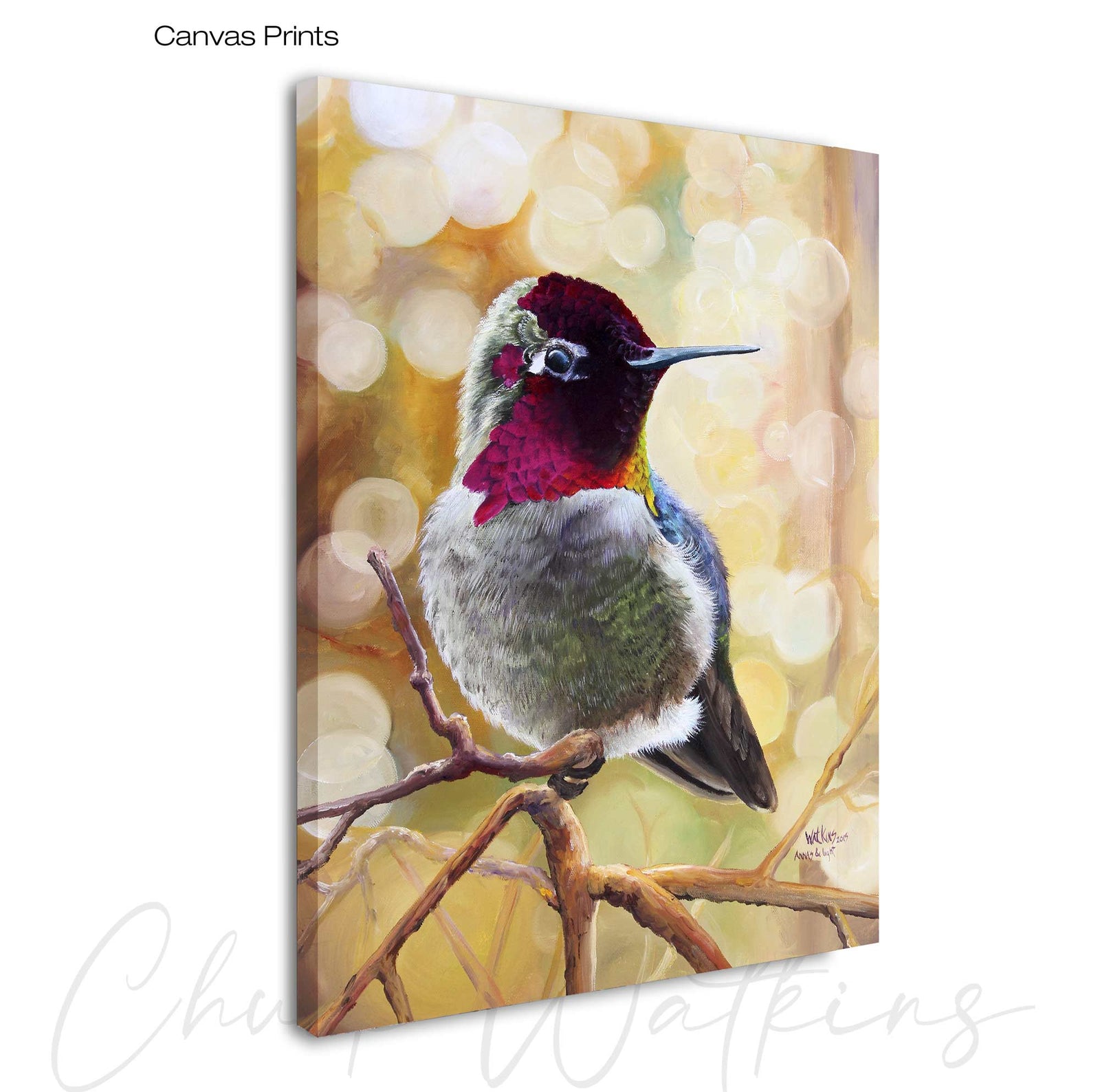 Anna's and Light, Hummingbird Wall Art Print by Chuck Watkins