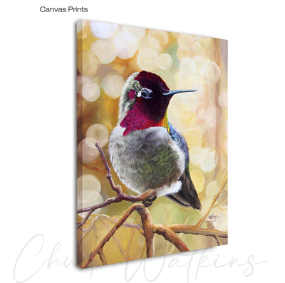 Anna's and Light, Hummingbird Wall Art Print by Chuck Watkins