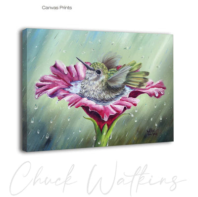 Baby Splash, Hummingbird Wall Art Print by Chuck Watkins