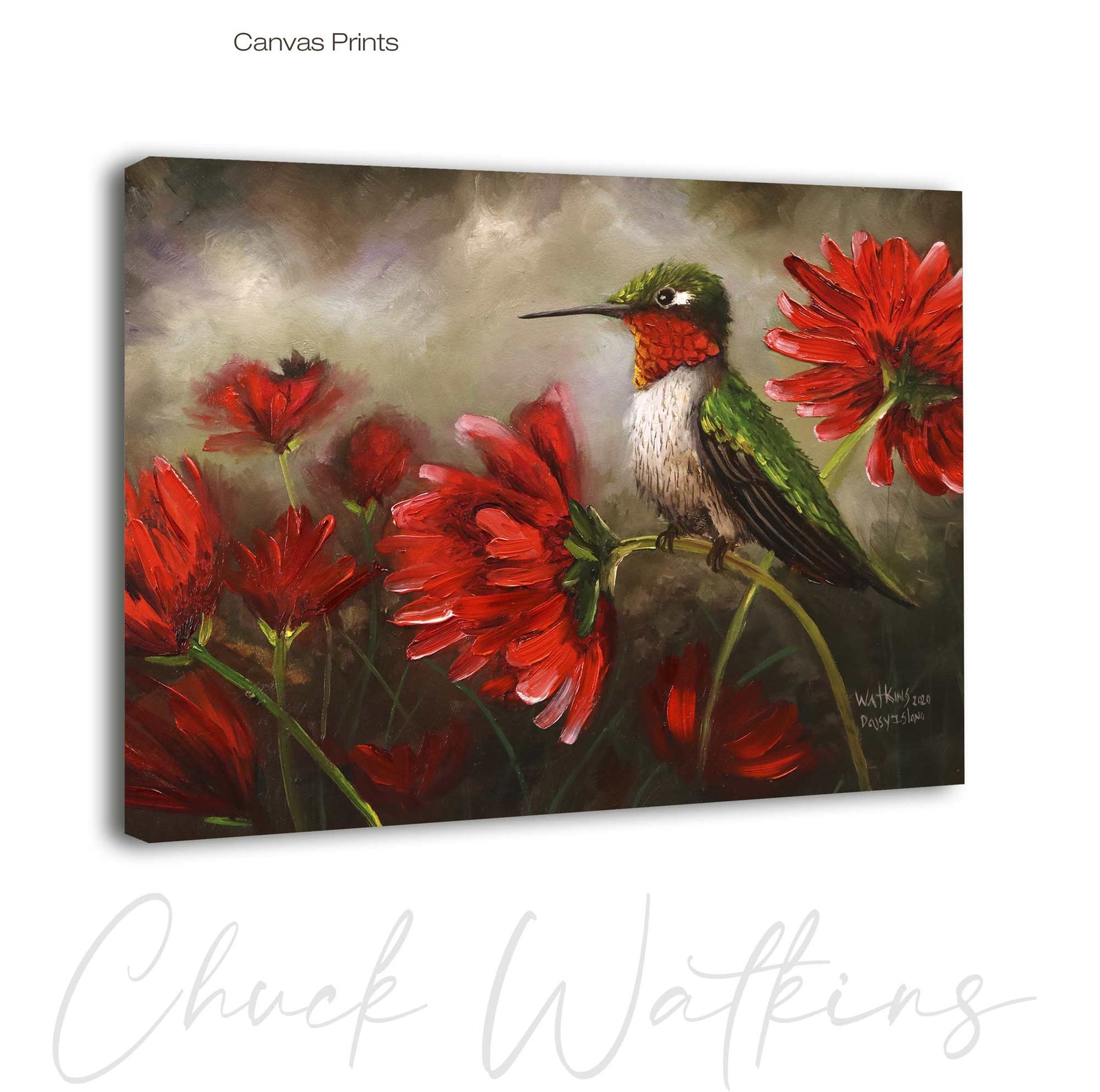 Daisy Island, Hummingbird Wall Art Print by Chuck Watkins