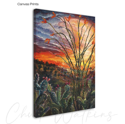 Ocotillo Sunset - Southwest Wall Art Print – Canvas & Aluminum – Chuck Watkins