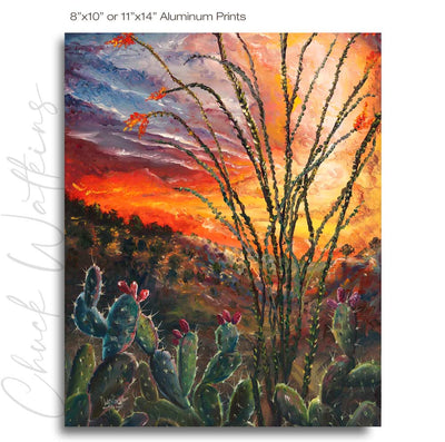 Ocotillo Sunset - Southwest Wall Art Print – Canvas & Aluminum – Chuck Watkins