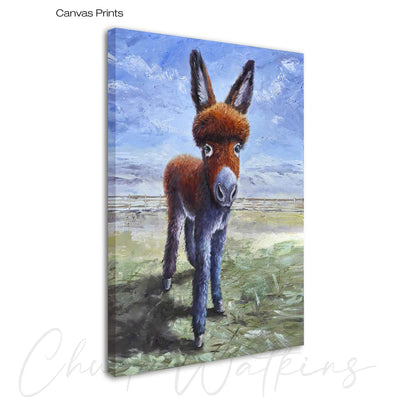Oliver Twist the Burro, Donkey Wall Art Print by Chuck Watkins
