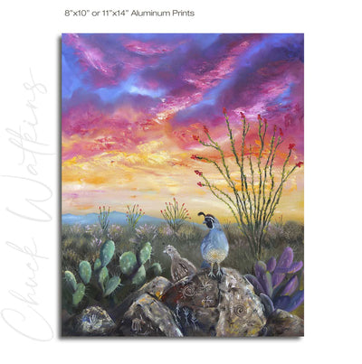 Resting Spot - Southwest Wall Art Print – Canvas & Aluminum – Chuck Watkins