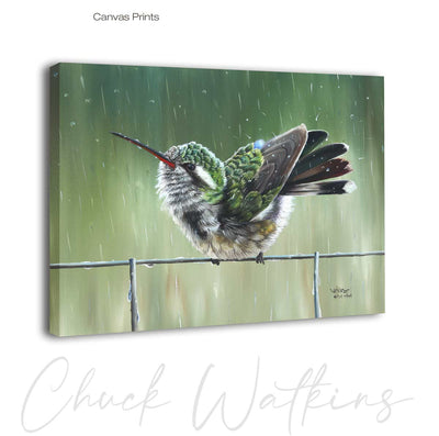 Splish Splash, Hummingbird Wall Art Print by Chuck Watkins