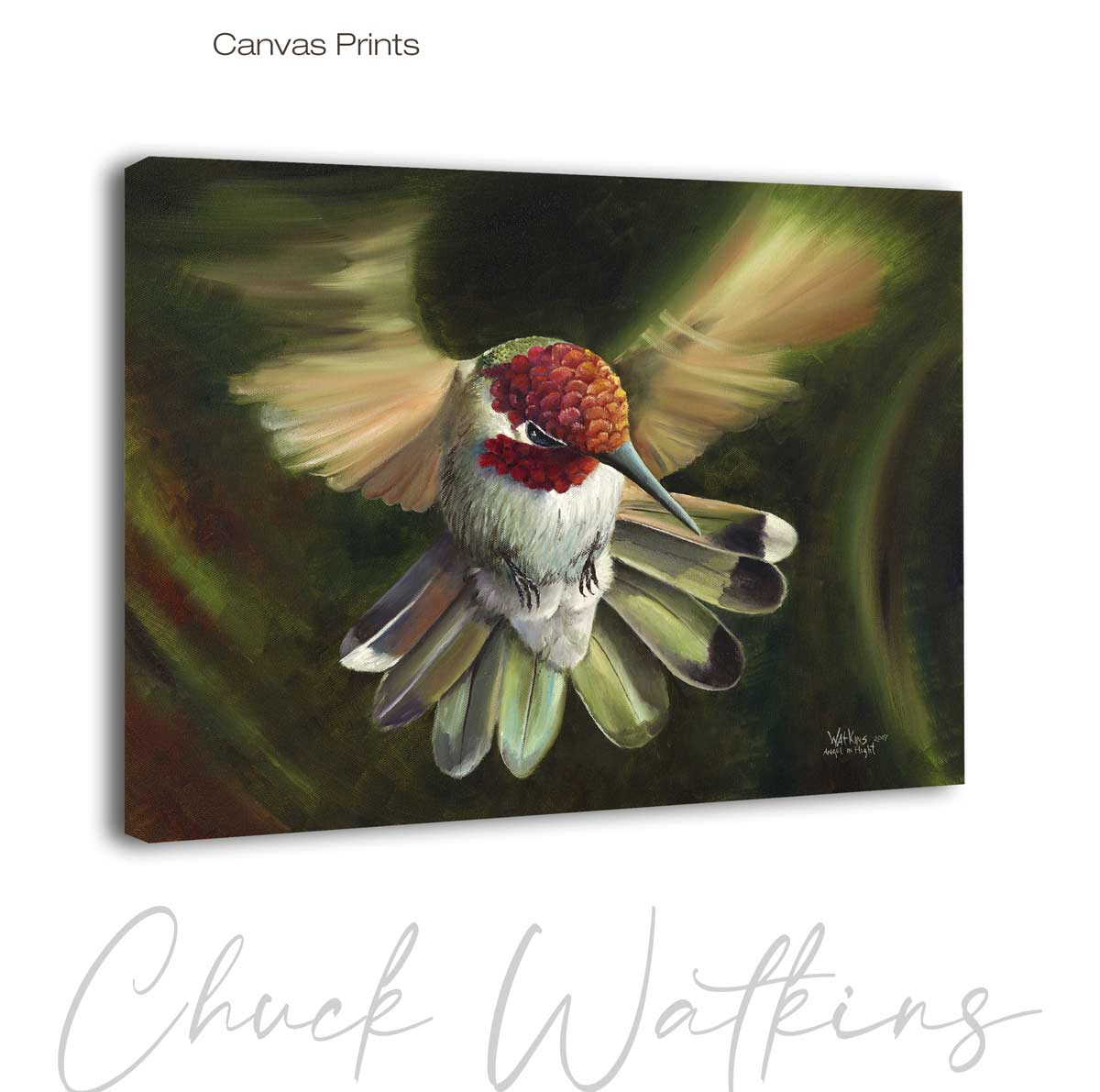 Angel in Flight, Hummingbird Wall Art Print by Chuck Watkins