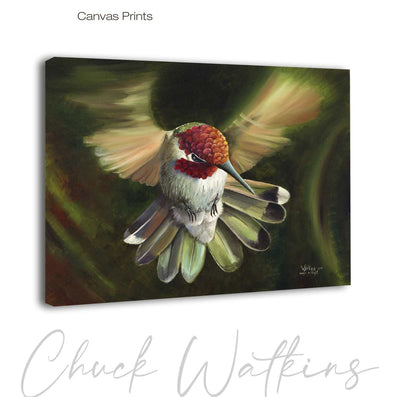 Angel in Flight, Hummingbird Wall Art Print by Chuck Watkins