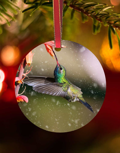 Broad-billed and Aloe, Hummingbird Christmas Ornament – Aluminum – Meagan Watkins by Chuck Watkins