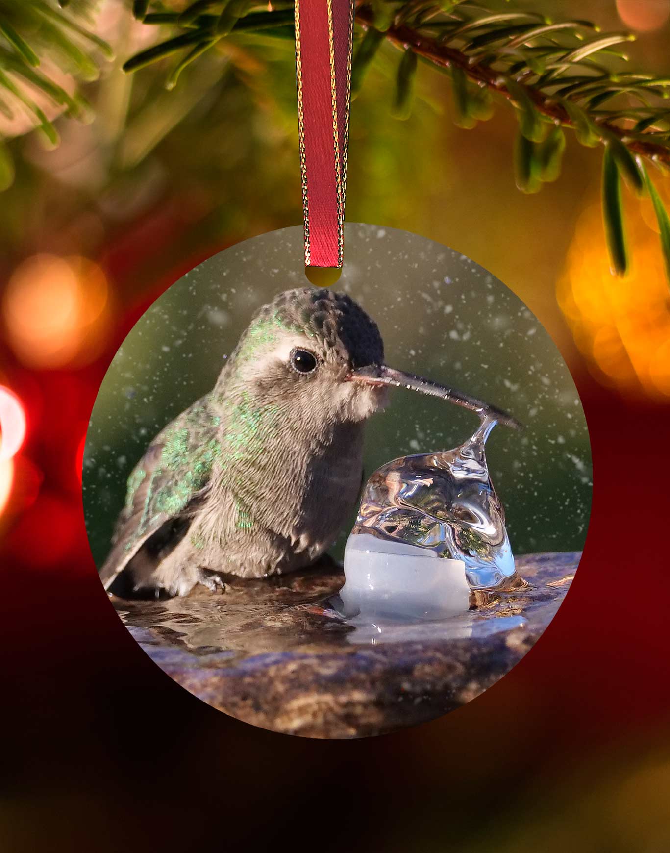 Broad-billed Girl in the Fountain, Hummingbird Christmas Ornament – Aluminum – Meagan Watkins by Chuck Watkins