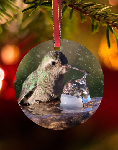 Broad-billed Girl in the Fountain, Hummingbird Christmas Ornament – Aluminum – Meagan Watkins by Chuck Watkins