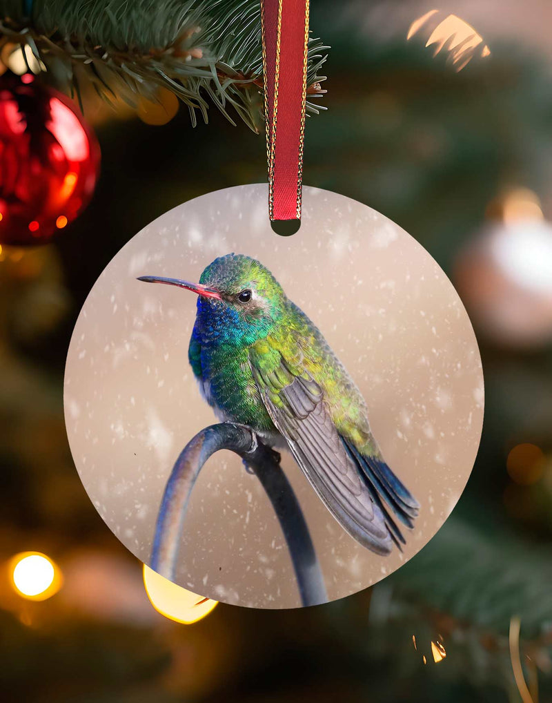 Broad-billed on a pipe, Hummingbird Christmas Ornament – Aluminum – Meagan Watkins by Chuck Watkins