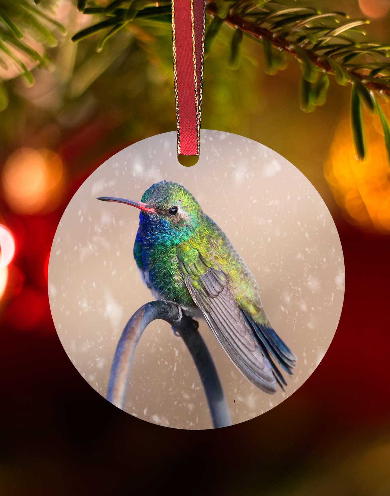 Broad-billed on a pipe, Hummingbird Christmas Ornament – Aluminum – Meagan Watkins by Chuck Watkins