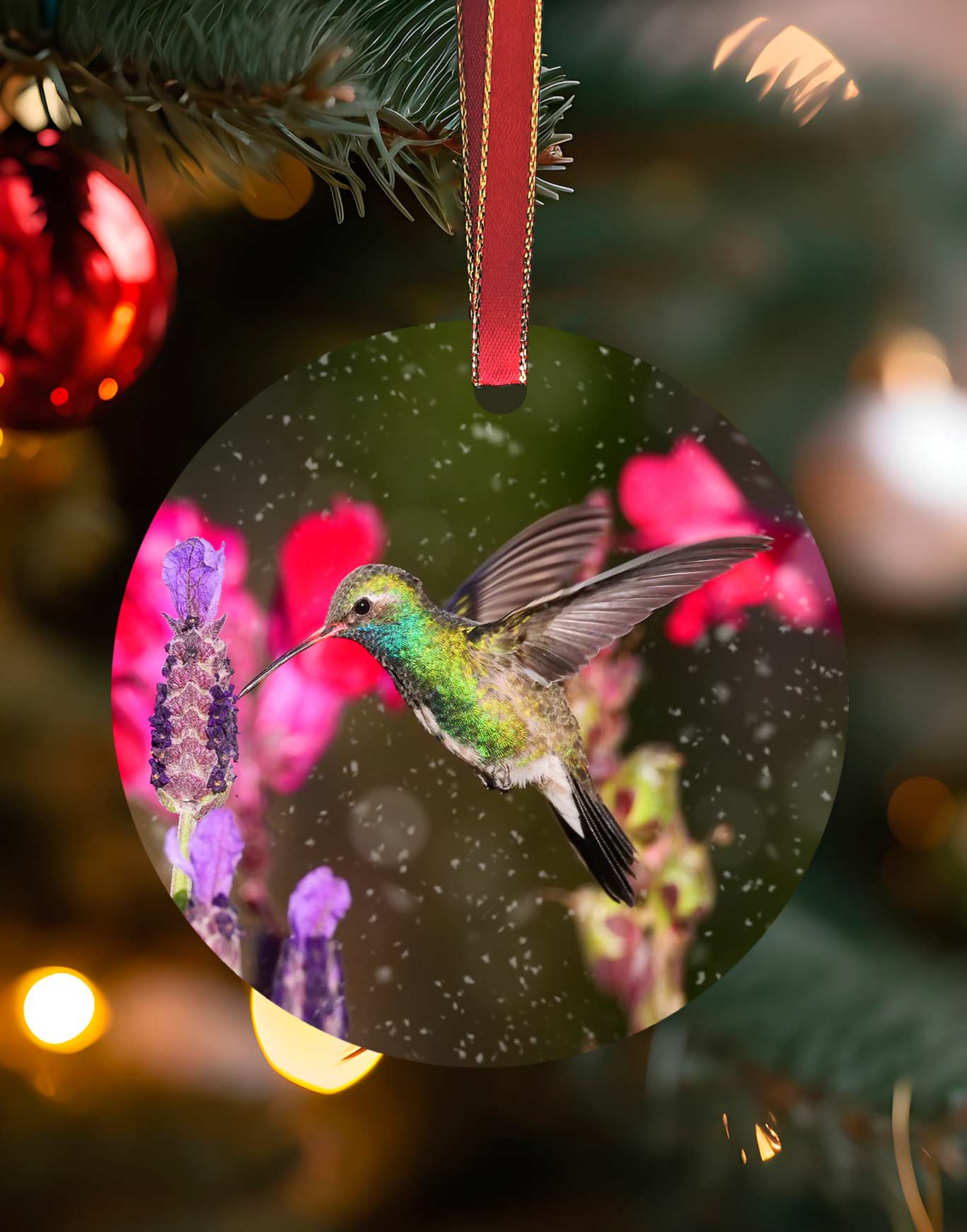Broad-billed on Lavender, Hummingbird Christmas Ornament – Aluminum – Meagan Watkins by Chuck Watkins
