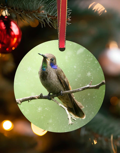 Brown Violetear from Costa Rica, Hummingbird Christmas Ornament – Aluminum – Meagan Watkins by Chuck Watkins