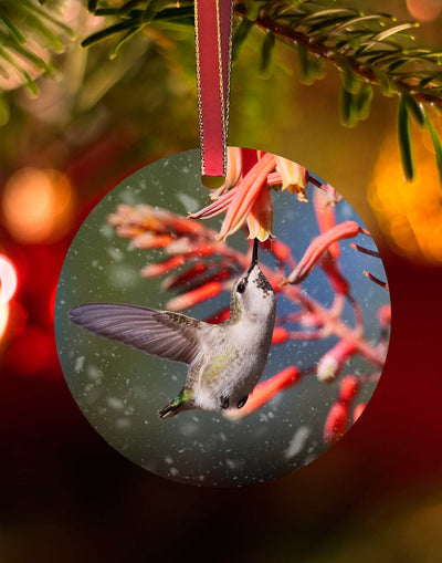 Female Costa's on Aloe, Hummingbird Christmas Ornament – Aluminum – Meagan Watkins by Chuck Watkins
