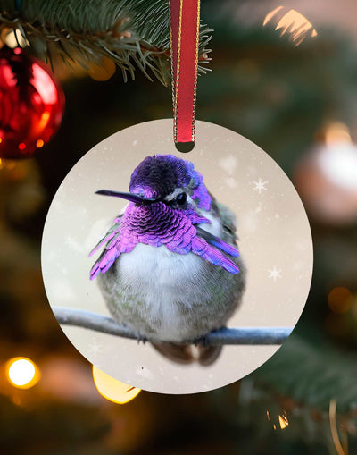 Costa's 3, Hummingbird Christmas Ornament – Aluminum – Meagan Watkins by Chuck Watkins