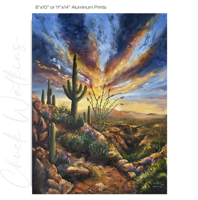 Coyote Ridge - Southwest Wall Art Print – Canvas & Aluminum – Chuck Watkins