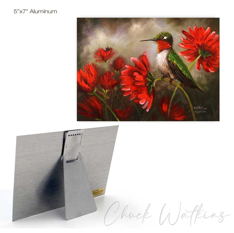 Daisy Island, Hummingbird Wall Art Print by Chuck Watkins