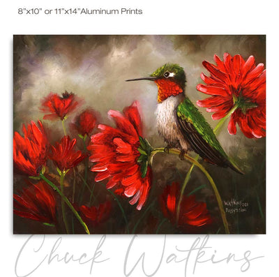 Daisy Island, Hummingbird Wall Art Print – Canvas & Aluminum – Chuck Watkins