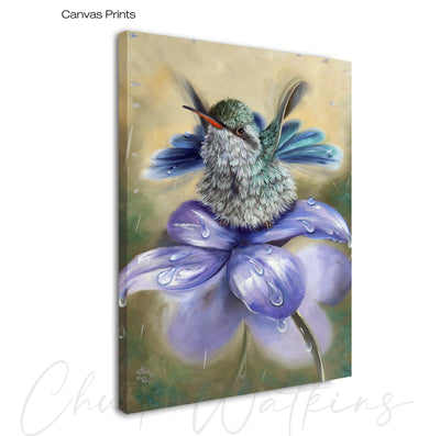 Delicate Rain, Hummingbird Wall Art Print by Chuck Watkins