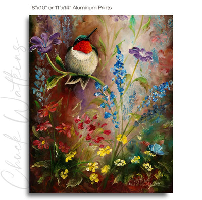 Field of Flowers, Hummingbird Wall Art Print – Canvas & Aluminum – Chuck Watkins