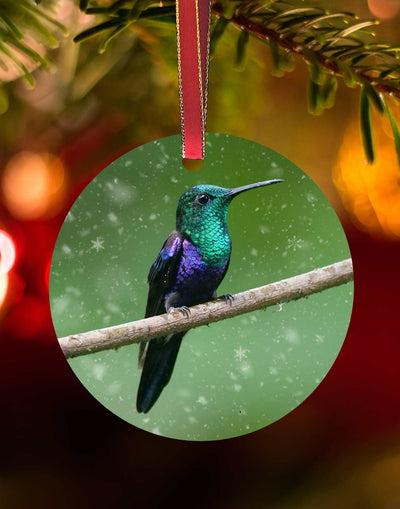 Green-Crowned Woodnymph from Costa Rica 2, Hummingbird Christmas Ornament – Aluminum – Meagan Watkins by Chuck Watkins