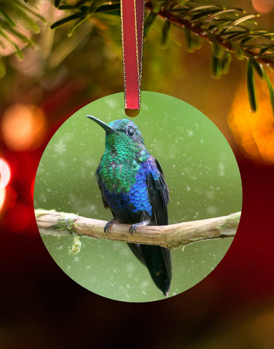 Green-Crowned Woodnymph from Costa Rica, Hummingbird Christmas Ornament – Aluminum – Meagan Watkins by Chuck Watkins