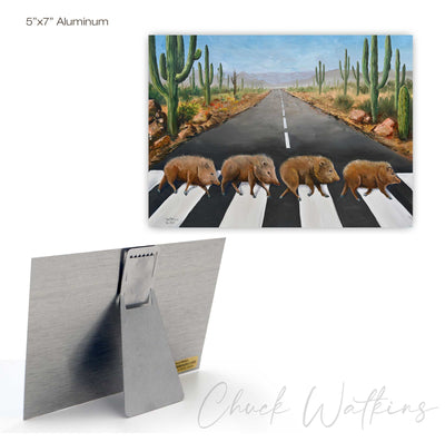 by Chuck Watkins
