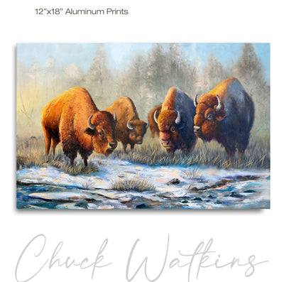 March Morning, Bison Wall Art Print by Chuck Watkins