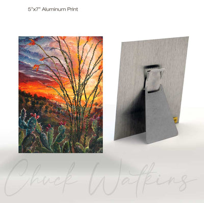 Ocotillo Sunset - Southwest Wall Art Print – Canvas & Aluminum – Chuck Watkins